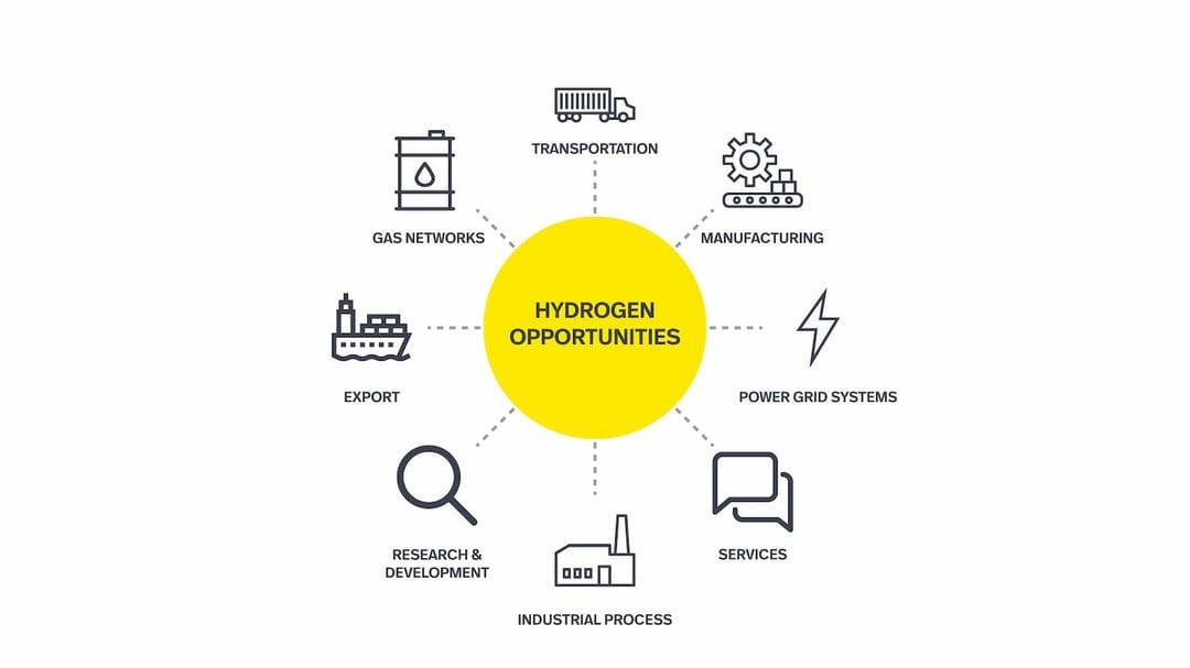 Hydrogen supply chain opportunities